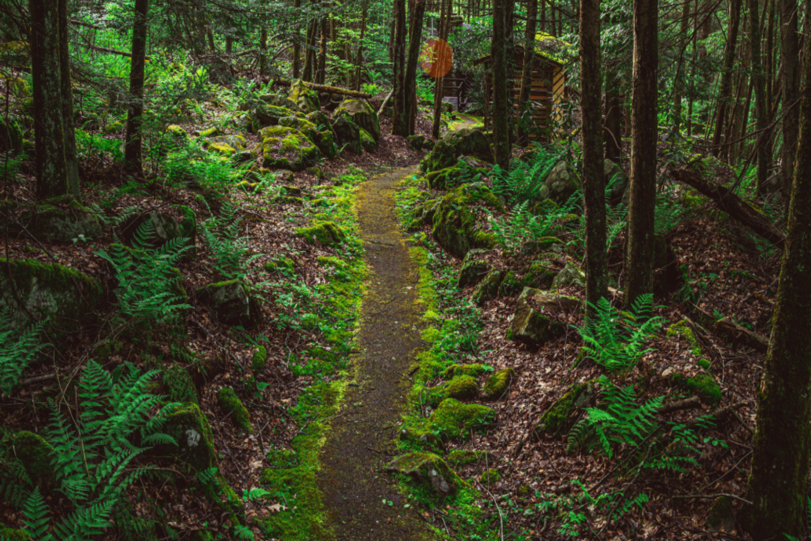 Chemins de randonnée