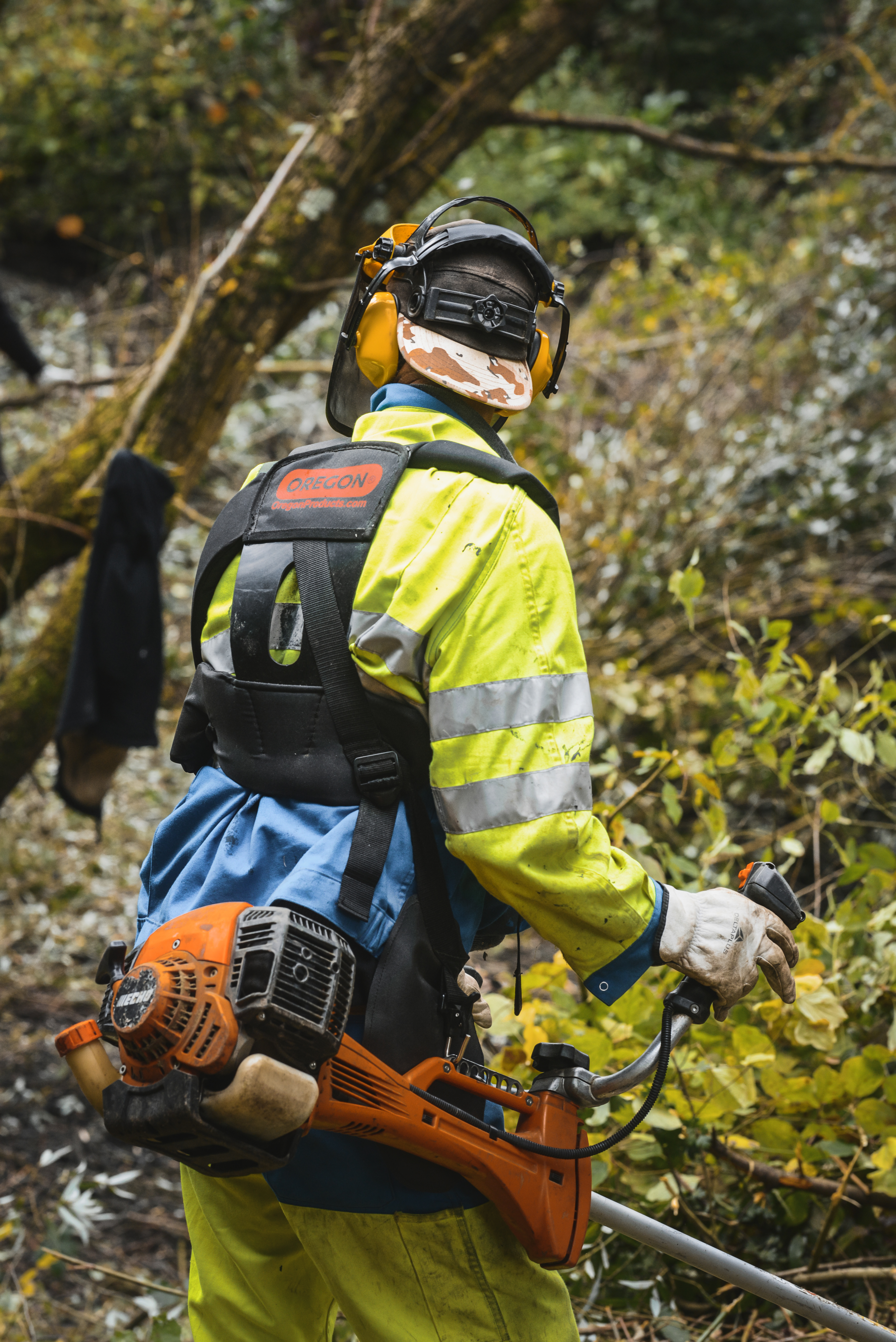 Sécurité et professionnalisme